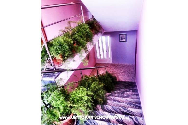 Villa Jelena – photo 15
