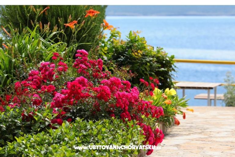 Apartments Mare – photo 17