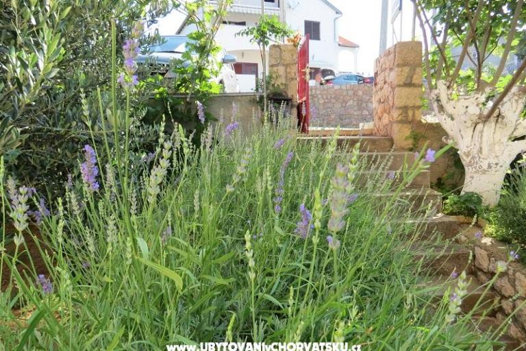 Apartments Marija – photo 11