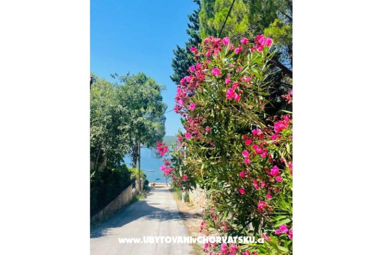 Vacation house Martina – photo 23
