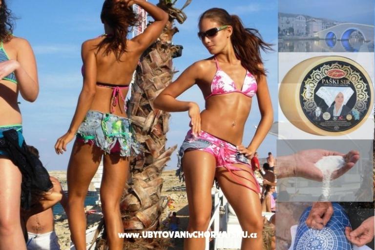 Central Apartment with Balcony – photo 15