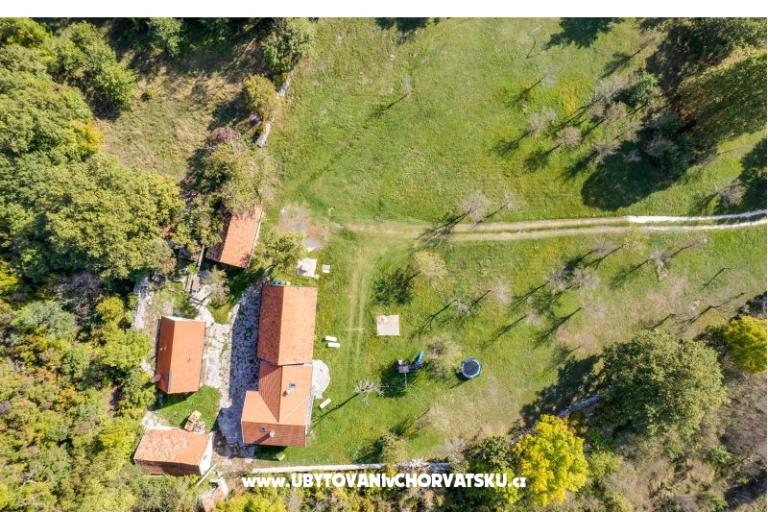 Secret forest house – photo 13