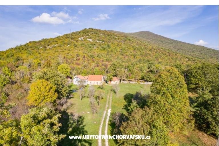 Secret forest house – photo 8