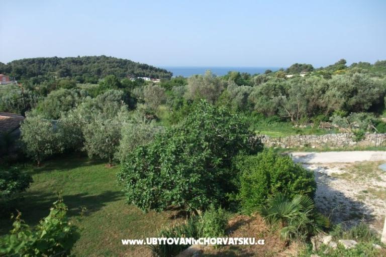 Adeksia apartment Premantura – photo 10