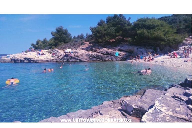 Adeksia apartment Premantura – photo 18