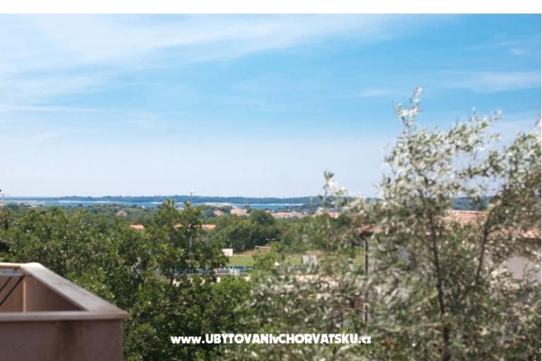 Apartment Helga Liznjan - Medulin – photo 13