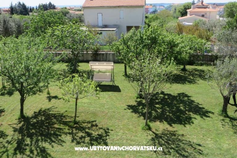 Apartment Mare – photo 4