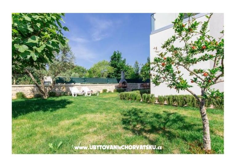 Apartments  – photo 3