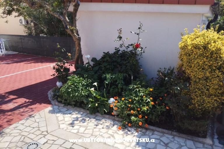 Apartments Mila-Casa Bianca  – photo 6