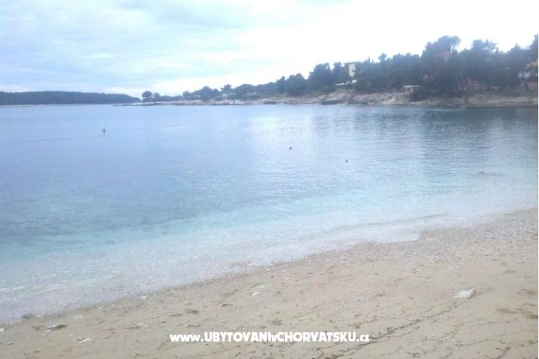 Apartment Mutica – photo 8