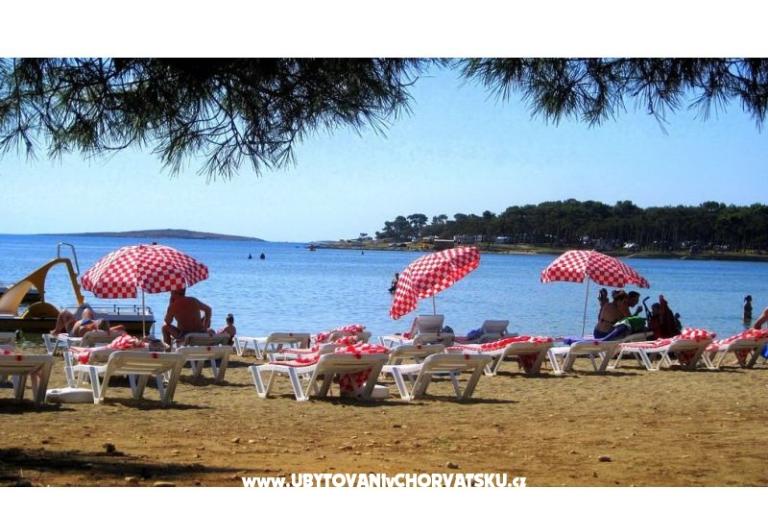 Apartments Tena – photo 4