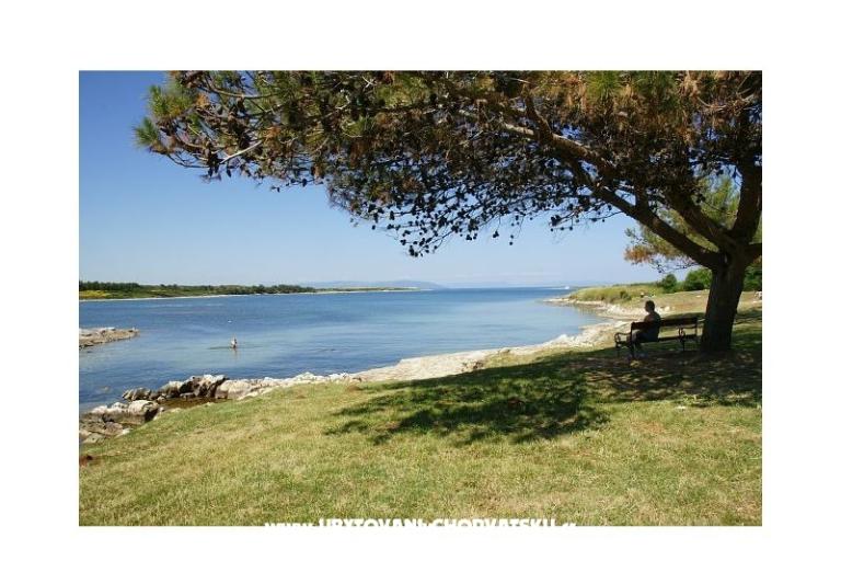 Apartments Tena – photo 6