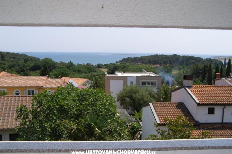 Apartments Vera – photo 6