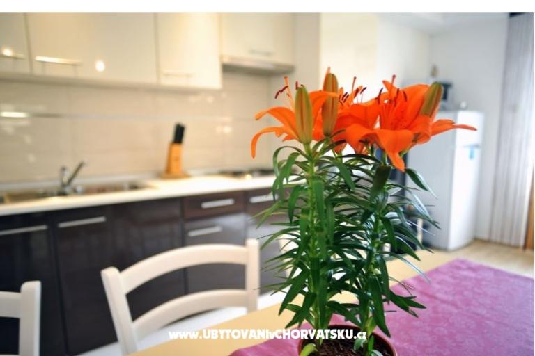 Apartments Anita – photo 6