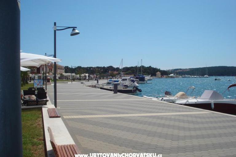Villa Orange – photo 10