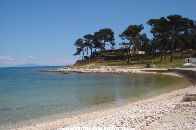 Villa Orange – photo 12