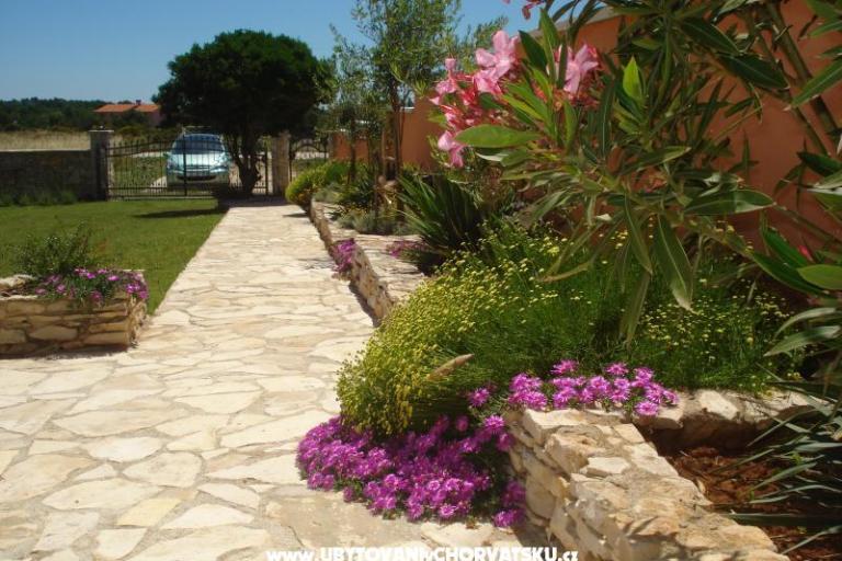 Villa Orange – photo 9