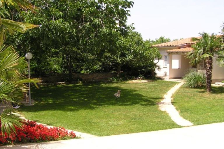 Apartments Paloma blanca - Oaza Reg – photo 10