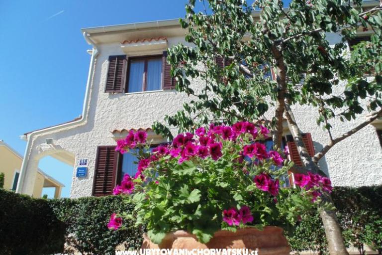 Apartments Regi – photo 2