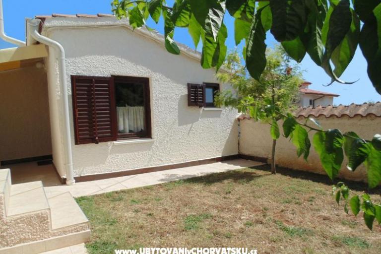 Apartments Regi – photo 7