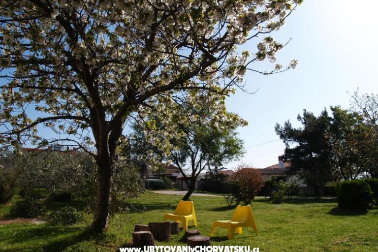 Comtemporary Apartment – photo 15