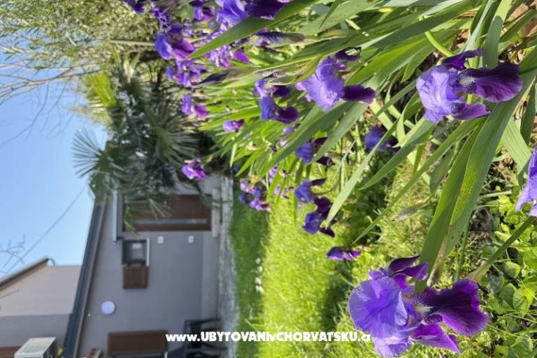 Flowers Apartment Medulin, Fucane 2 – photo 15