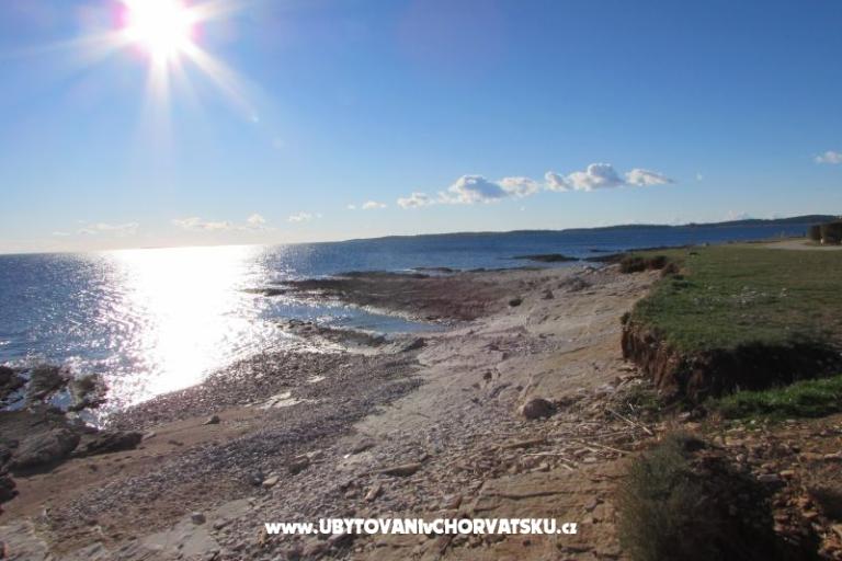 House Oliva – photo 17