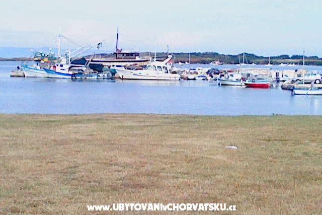 House Pacic – photo 10