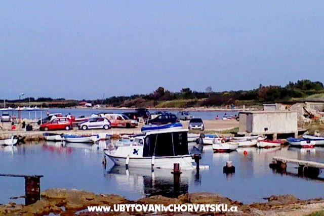 House Pacic – photo 11
