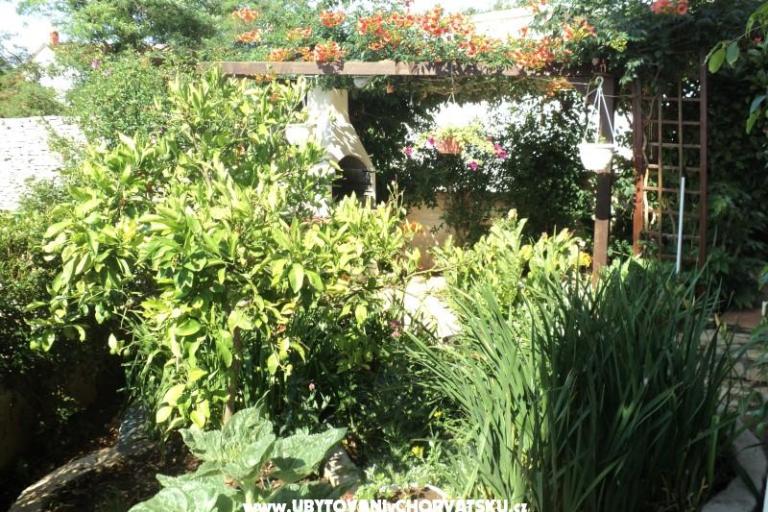 House Pacic – photo 15