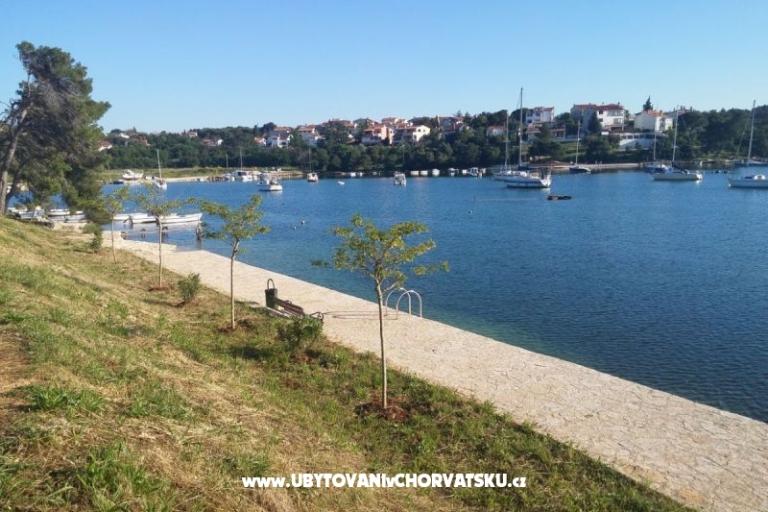 Villa Luka - jacuzzi, pool, sauna – photo 10