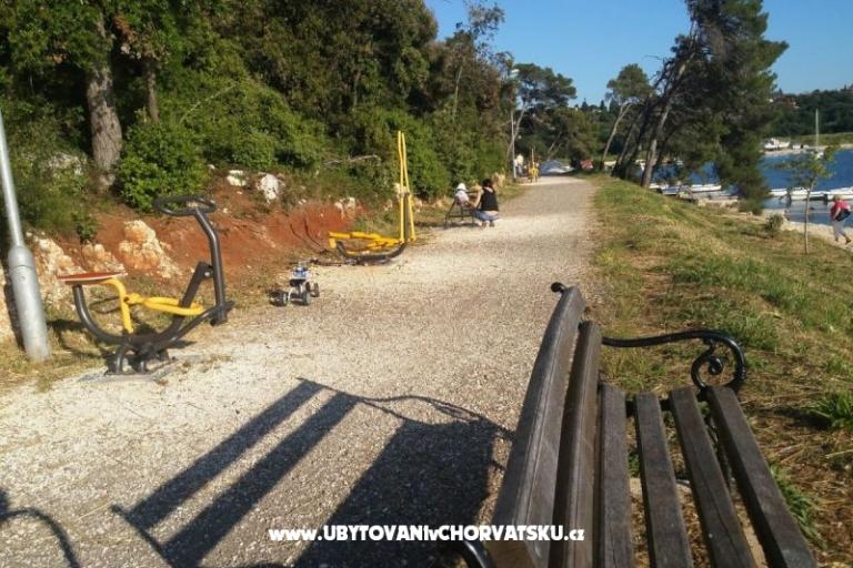 Villa Luka - jacuzzi, pool, sauna – photo 6