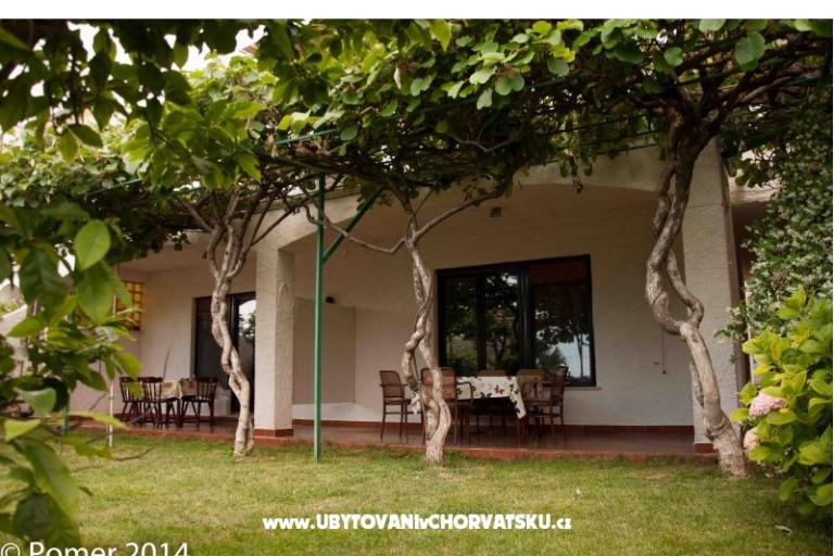 Apartments Xenia – photo 2