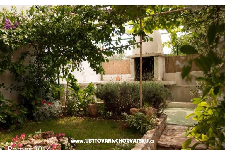 Apartments Xenia – photo 3