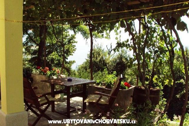 Apartment Barišić – photo 5