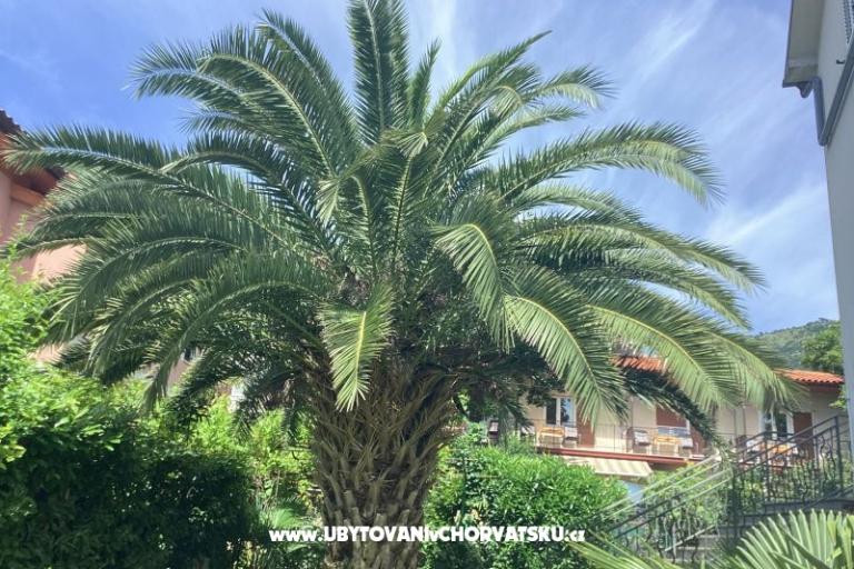 Apartments Rubinić  – photo 26