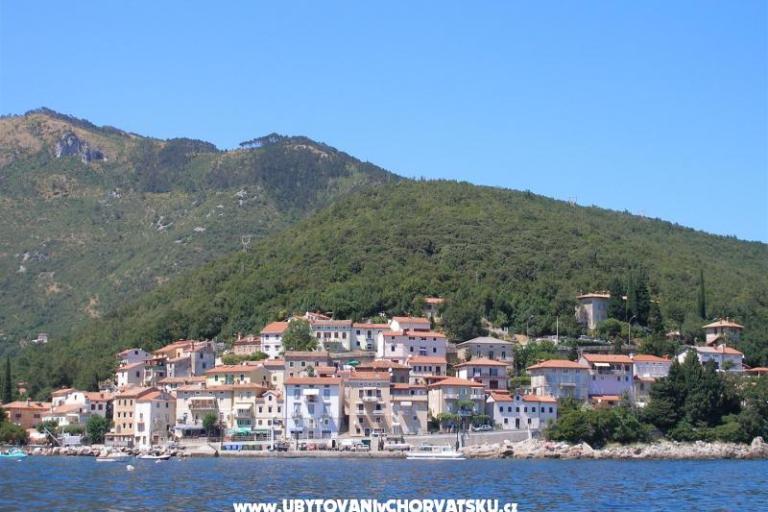 House Obrš *** – photo 12