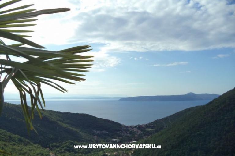 Vacation house Mickey – photo 3