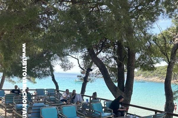 Amicaliving   – photo 17