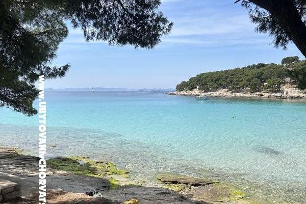 Amicaliving   – photo 18