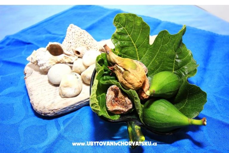 Apartment Dino Murter – photo 2