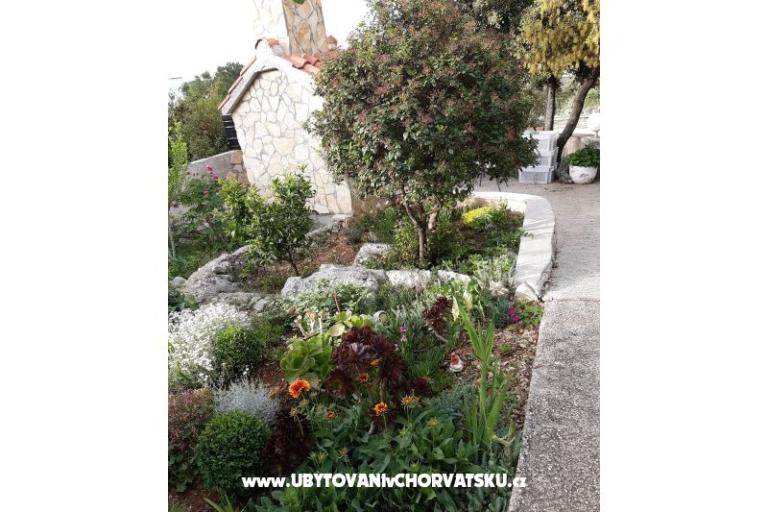 Apartments Stela – photo 4