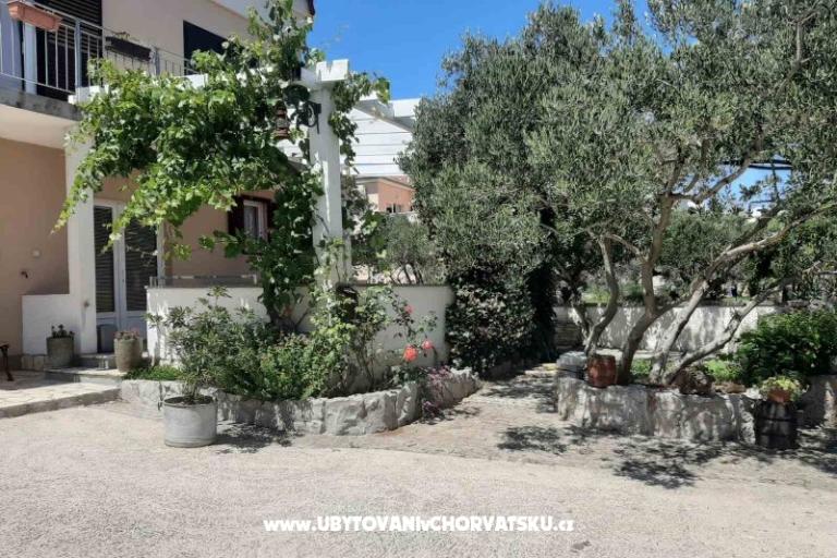 Apartments Budiša – photo 13