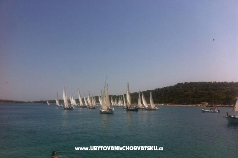 Apartments Jadranka – photo 8