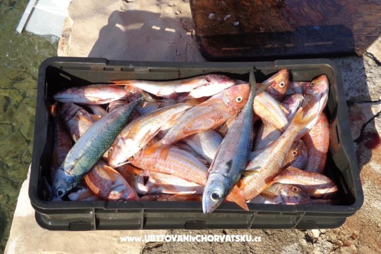 Lavsa Tri sestrice – photo 18