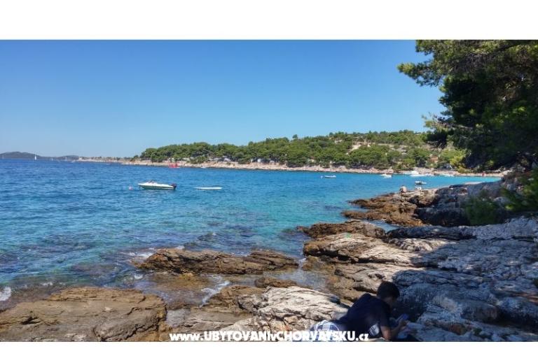 Miljenko – photo 15