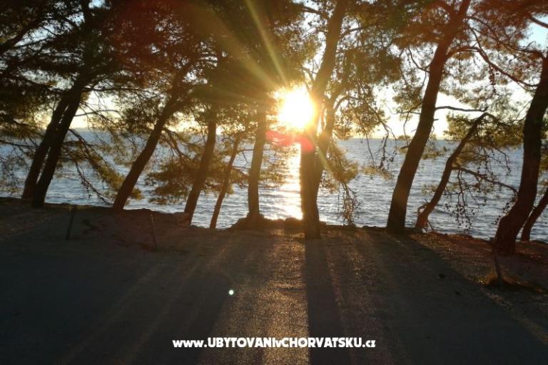Villa Sole e Mare – photo 8