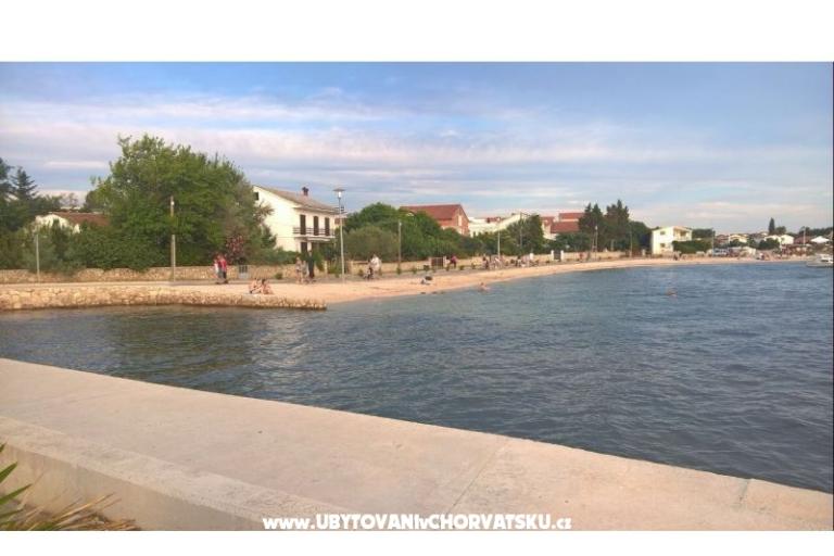 Apartments Vrsi - Mulo – photo 13