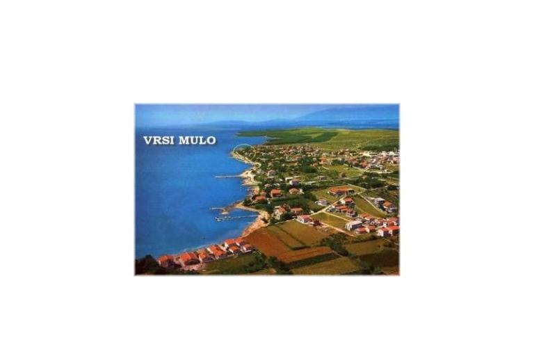 Apartments Vrsi - Mulo – photo 15
