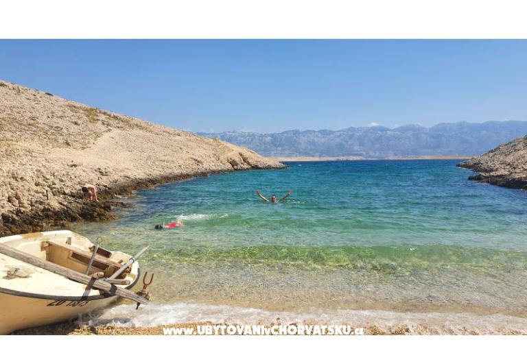 Apartment Zidaric – photo 14